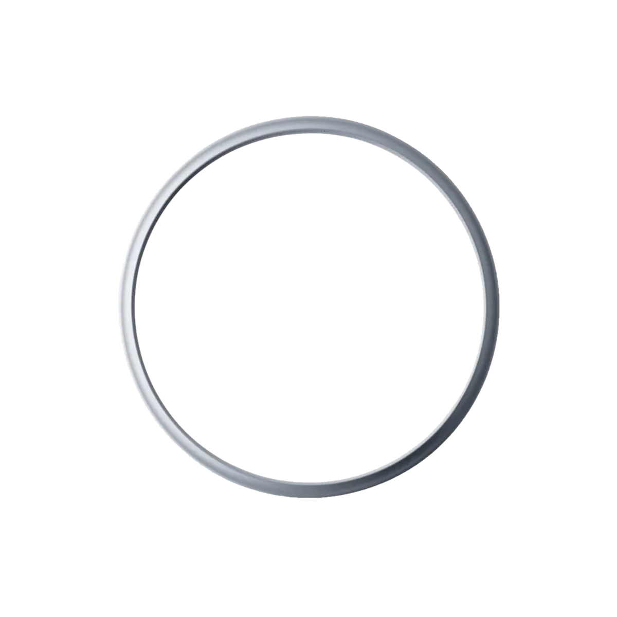 Silit Sicomatic Silikondichtring 22cm